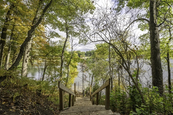 a wooden stairway slopes down through a lush, green, forested area to a calm waterway below at Wilson State Park in Clare County