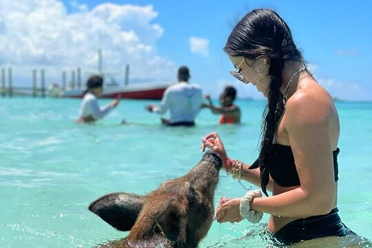 Bahamas: Swimming Pigs, Snorkeling, Beach Break Package