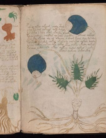 The Hunt: The Mysteries of the Voynich Manuscript