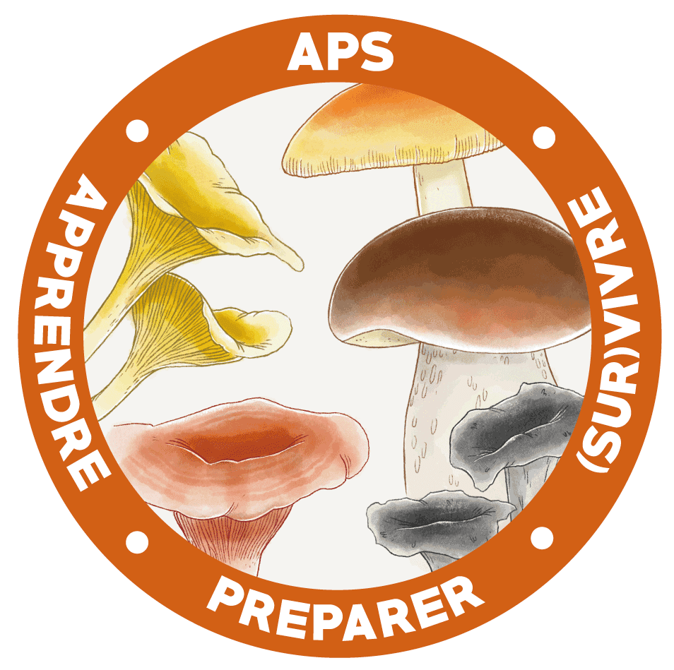 Logo Apprendre Préparer Survivre