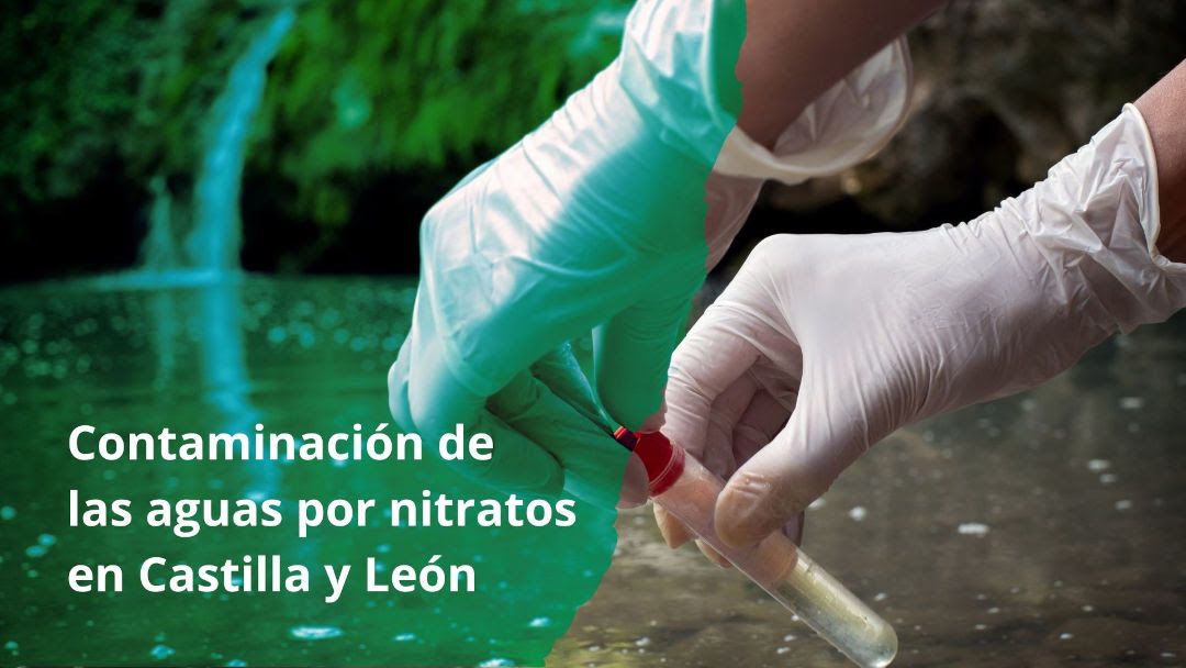 La justicia europea condena a España por la contaminación de las aguas por nitratos en Castilla y León