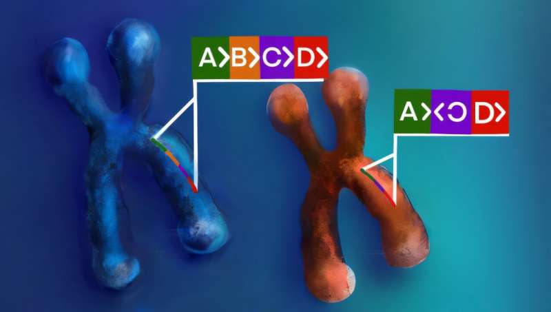 Complex genomic variants are related to psychiatric diseases, study finds