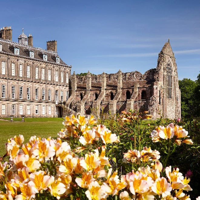 Flowers in the garden of the Palace of Holyroodhouse, with the ruins of Holyrood Abbey in the background.