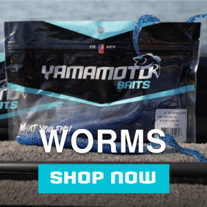 SHOP WORMS