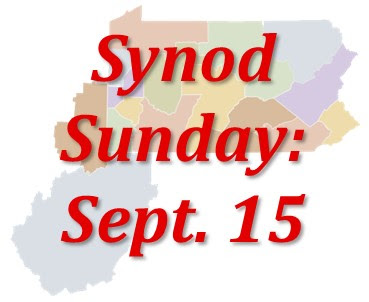 Synod Sunday 2