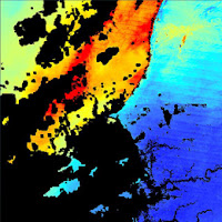 image of MODIS data showing water and coastline