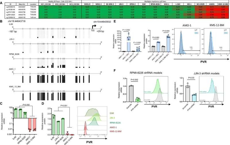 An epigenetic characteristic help predict efficacy of immunotherapy in multiple myeloma