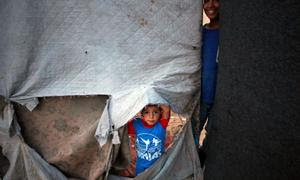 Un niño de corta edad mira a través del lateral rasgado de un refugio en la Franja de Gaza.