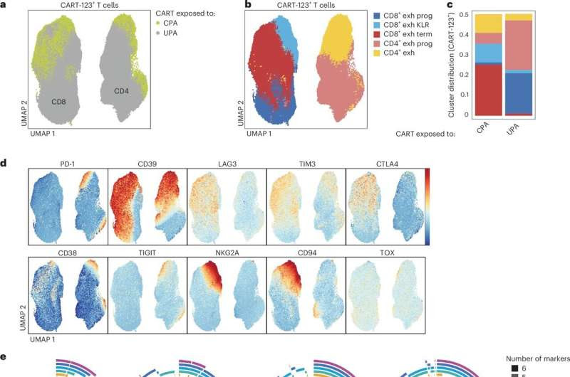 Failure in a CAR T cell trial could unlock multiple treatments for acute myeloid leukemia