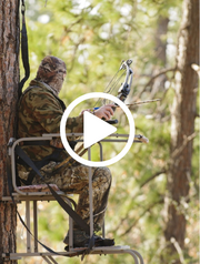 Bow hunter in treestand, video link