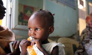 Casi 26 millones de personas pasan hambre en Sudán (foto de archivo).