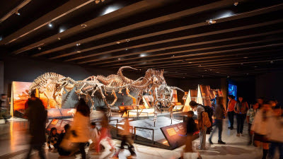 Las exposiciones de CaixaForum Madrid recibieron 947.642 visitantes en 2024