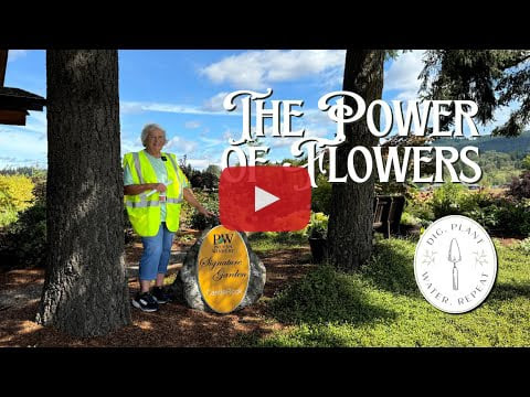 The Power of Flowers Video
