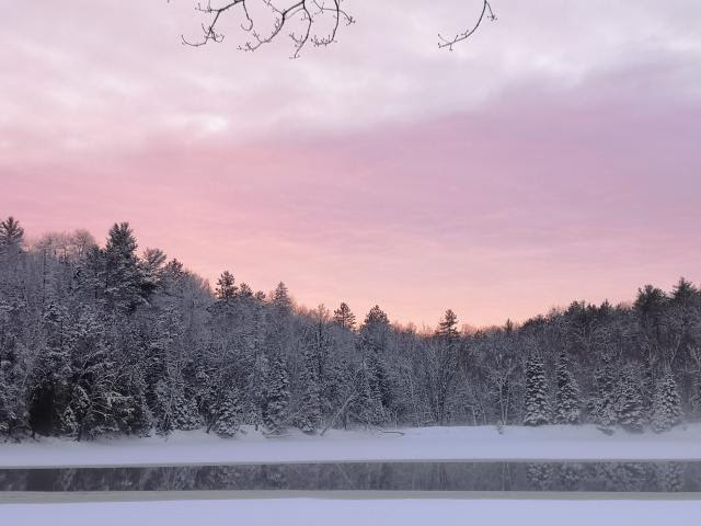 Snowy lake and evergreen trees with a pink sky