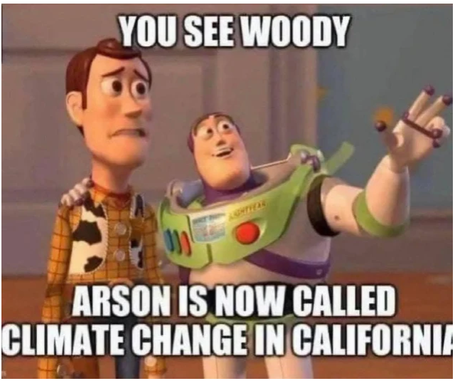 Meme equating arson to climate.