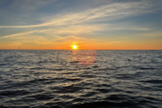 Sunset over calm seas with birds flying along the horizon