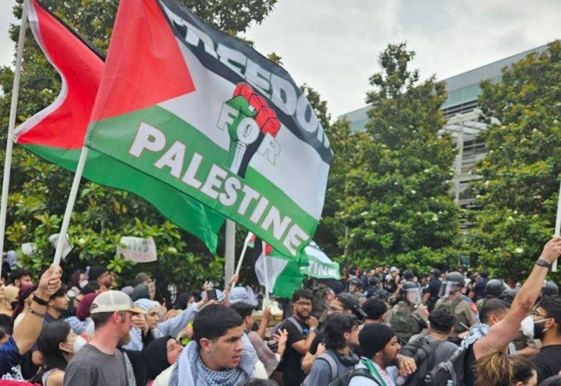 Photo of pro-Palestine protest.