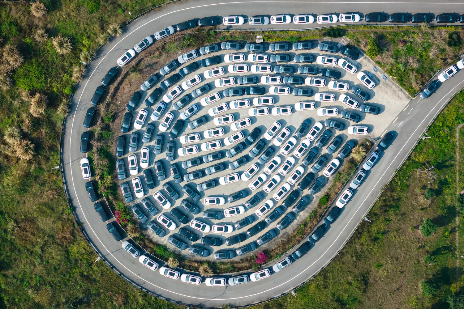 New electric cars for sale are seen parked at a distribution center of the Changan automobile company in southwestern China's Chongqing municipality on March 24, 2024. 