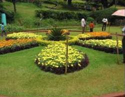 Vacation Zone Coonoor_Sim_Park 18 Days Amazing South India  