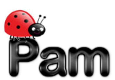 Pam-Lady-Bug-top