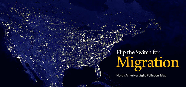 Lights Out for Migration