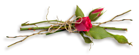 HkZm8F2LiRBvm7fievjoY0NIj8C5FKNGC1oNATG5d0Bo82c-2KEWi-8CWBID2QNX.png