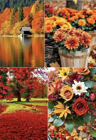 Fall-Flowers-Collage