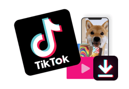 tiktok downloader