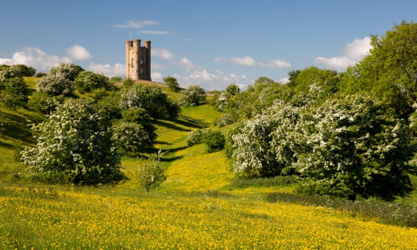 Broadway Tower amid spring flowering hawthorn bushes and buttercups.