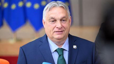 La Hongrie présidente du Conseil de l'UE : quels sont les points de discorde entre Budapest et Bruxelles, qui font craindre six mois de tensions ?
