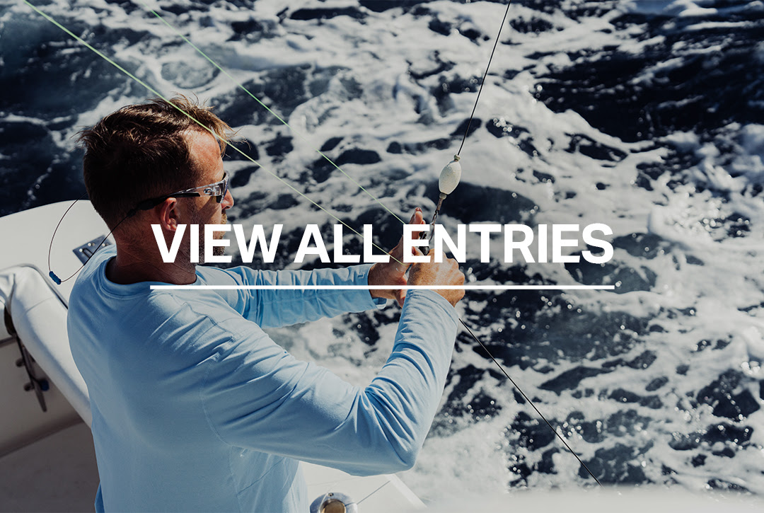 View All Entries