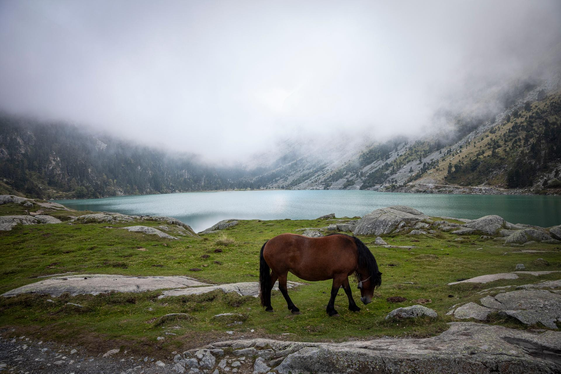 Sur les rives du lac de Gaube, le 19 septembre 2024.