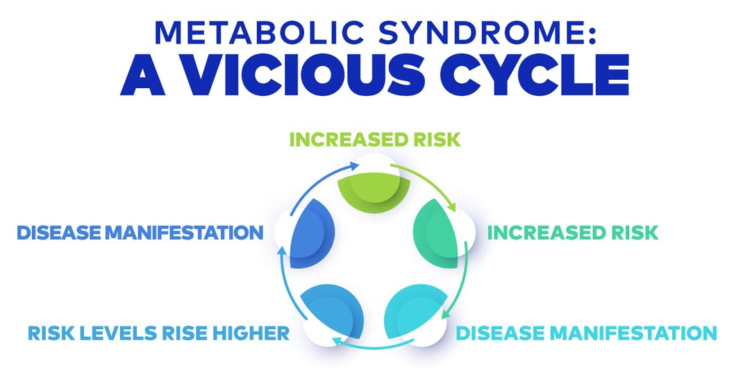 Metabolic Syndrome: A Vicious Cycle