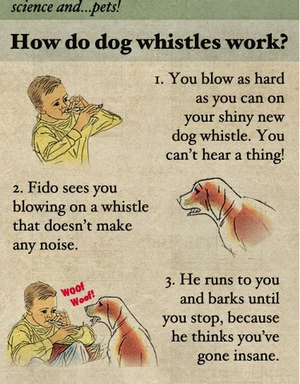 Dog whistle explained.