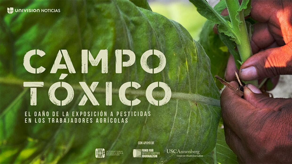 Campo tóxico: el daño de los pesticidas en los trabajadores agrícolas