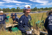 A volunteer in a dark blue long sleeve shirt and backwards baseball hat holding up marsh grass. Several other volunteers appear in the background