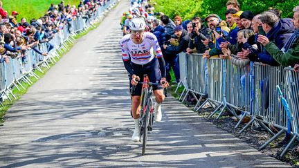 Giro 2024 : qui peut battre Tadej Pogacar sur le Tour d'Italie ?