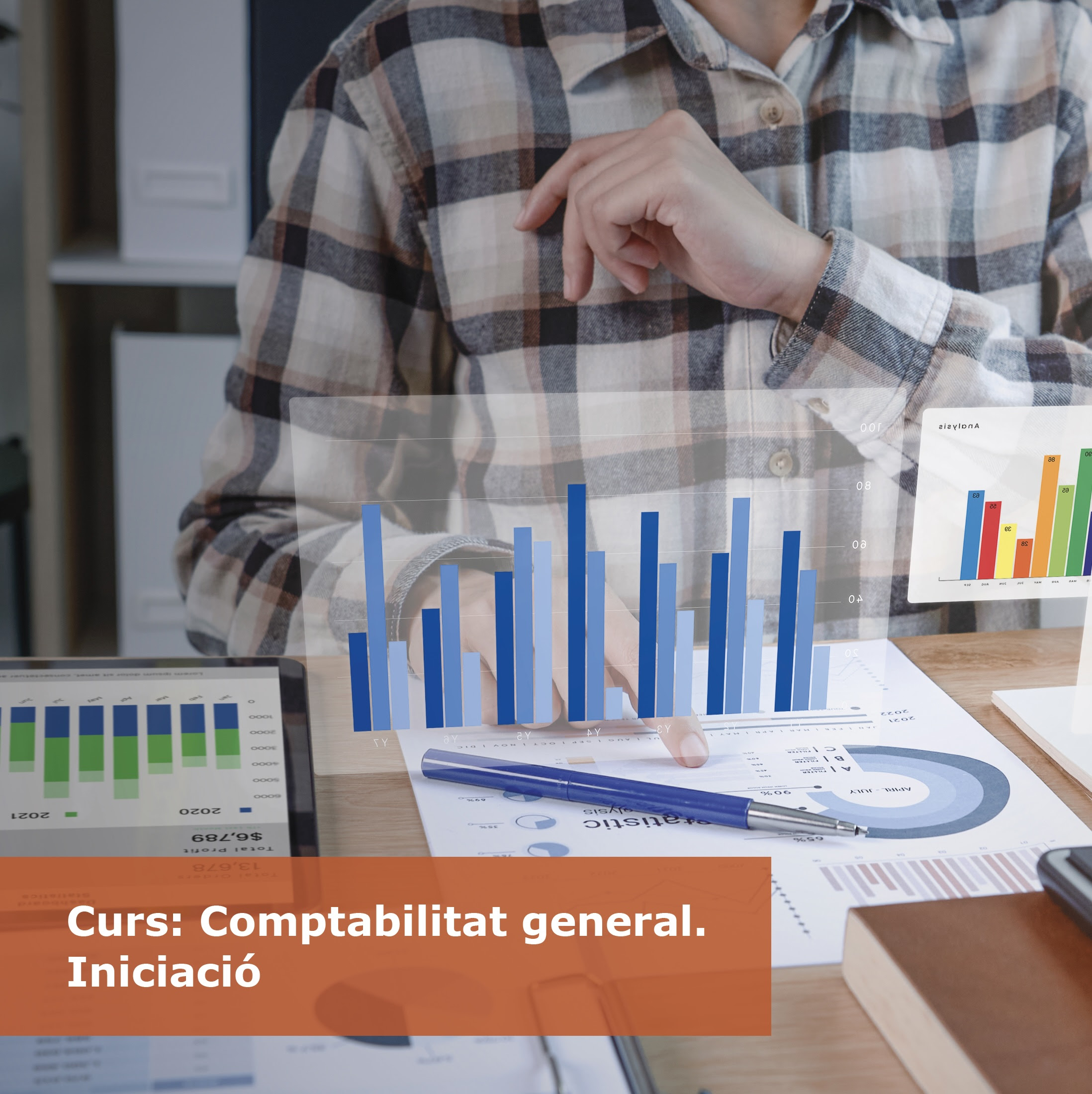 CURS: Comptabilitat general. Iniciació