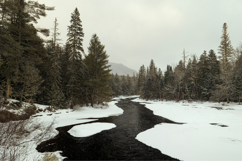 A partially iced over river winds through a boreal forest on a snowy day.