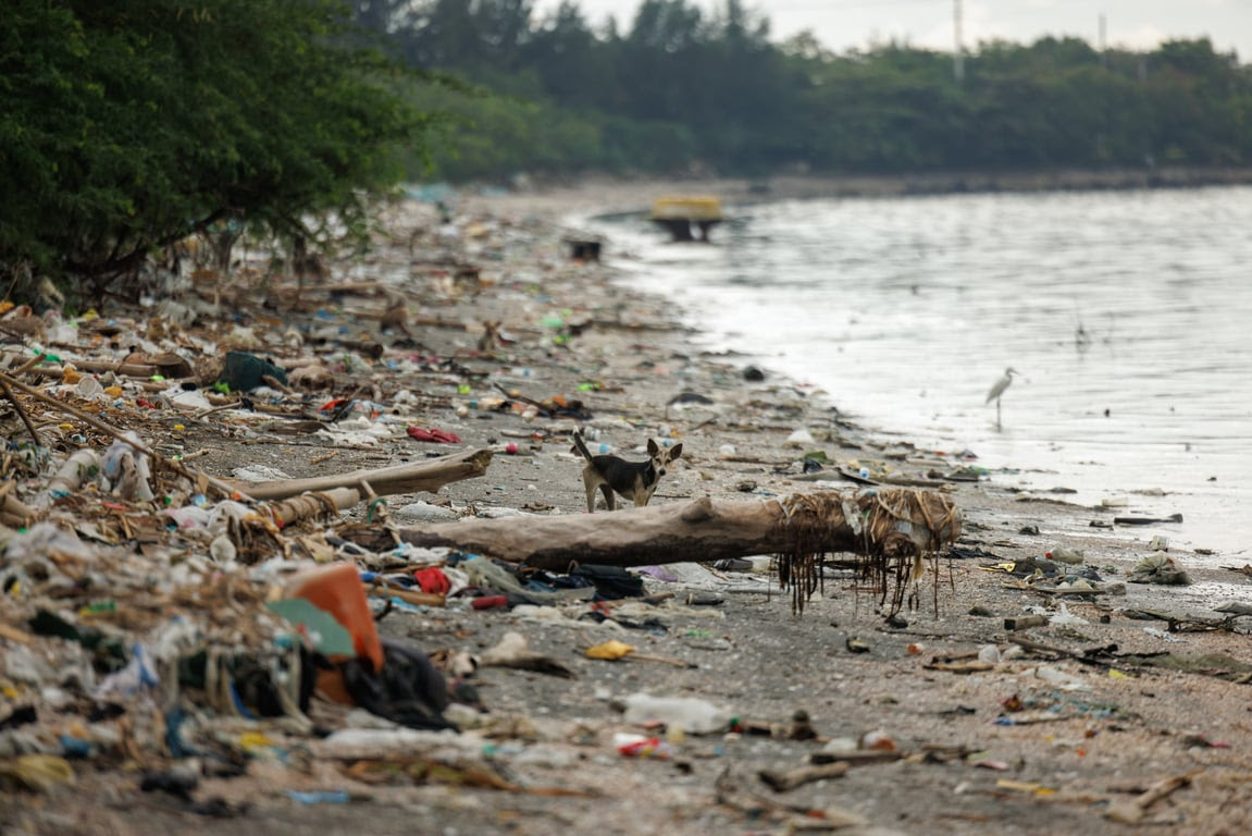 A dog is seen through a pile of plastics along the shores of the Las Piñas-Parañaque Wetland Park. (Jilson Tiu/Greenpeace)