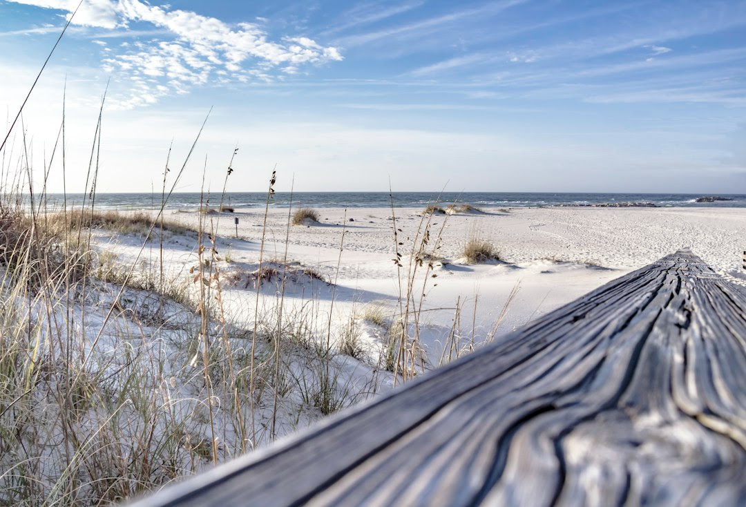 a wooden bench sitting on top of a sandy beach