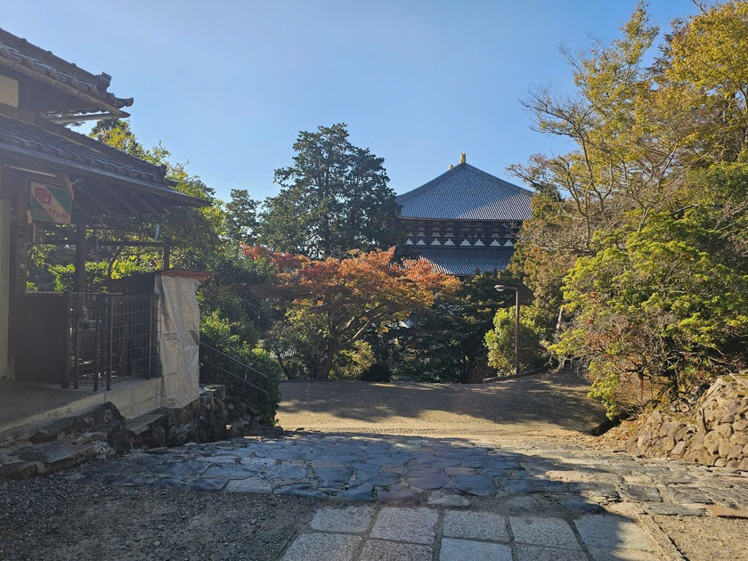 Sức hút của Todai-ji, ngôi chùa có lịch sử 1.200 năm ở Nara-Nhật Bản - Ảnh 20.