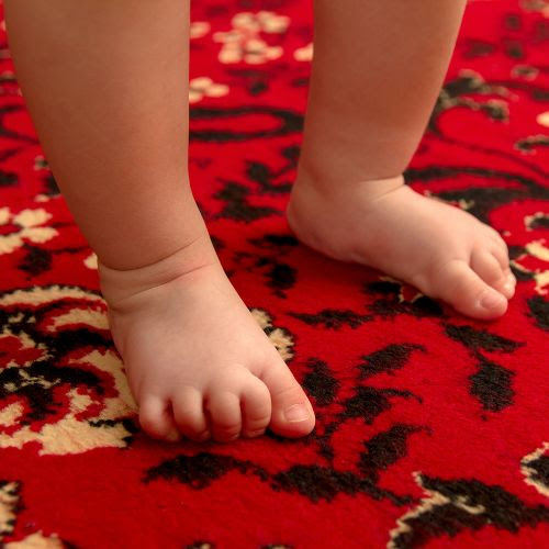 Area Rug Cleaning in Toronto