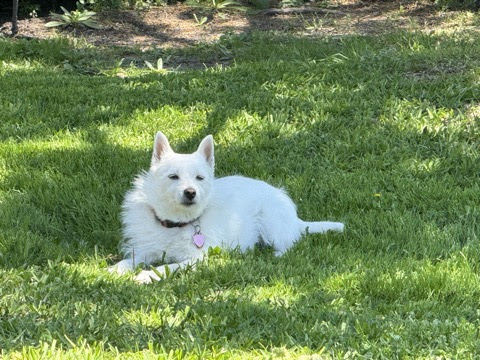 Carly-in-Grass