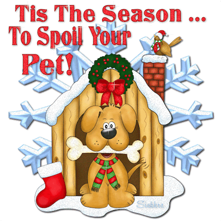 Christmas-dog-spoil-your-Pet