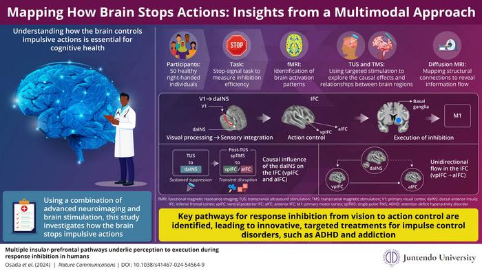 Mapping How Brain Stops Actions: Insights from a Multimodal Approach