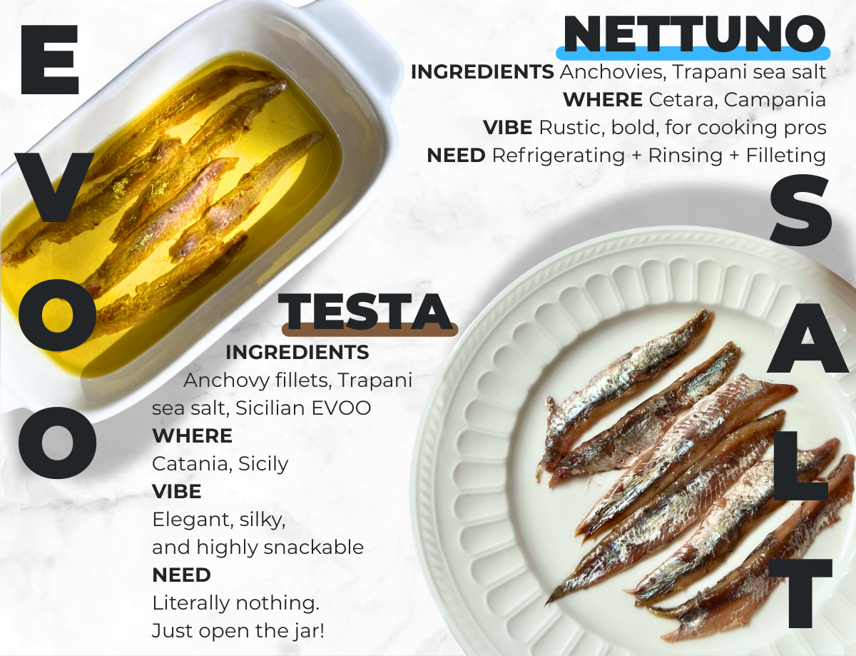 salted anchovies vs. anchovies in extra virgin olive oil