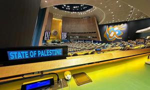 Palestina tiene actualmente estatuto de Estado observador en las Naciones Unidas.