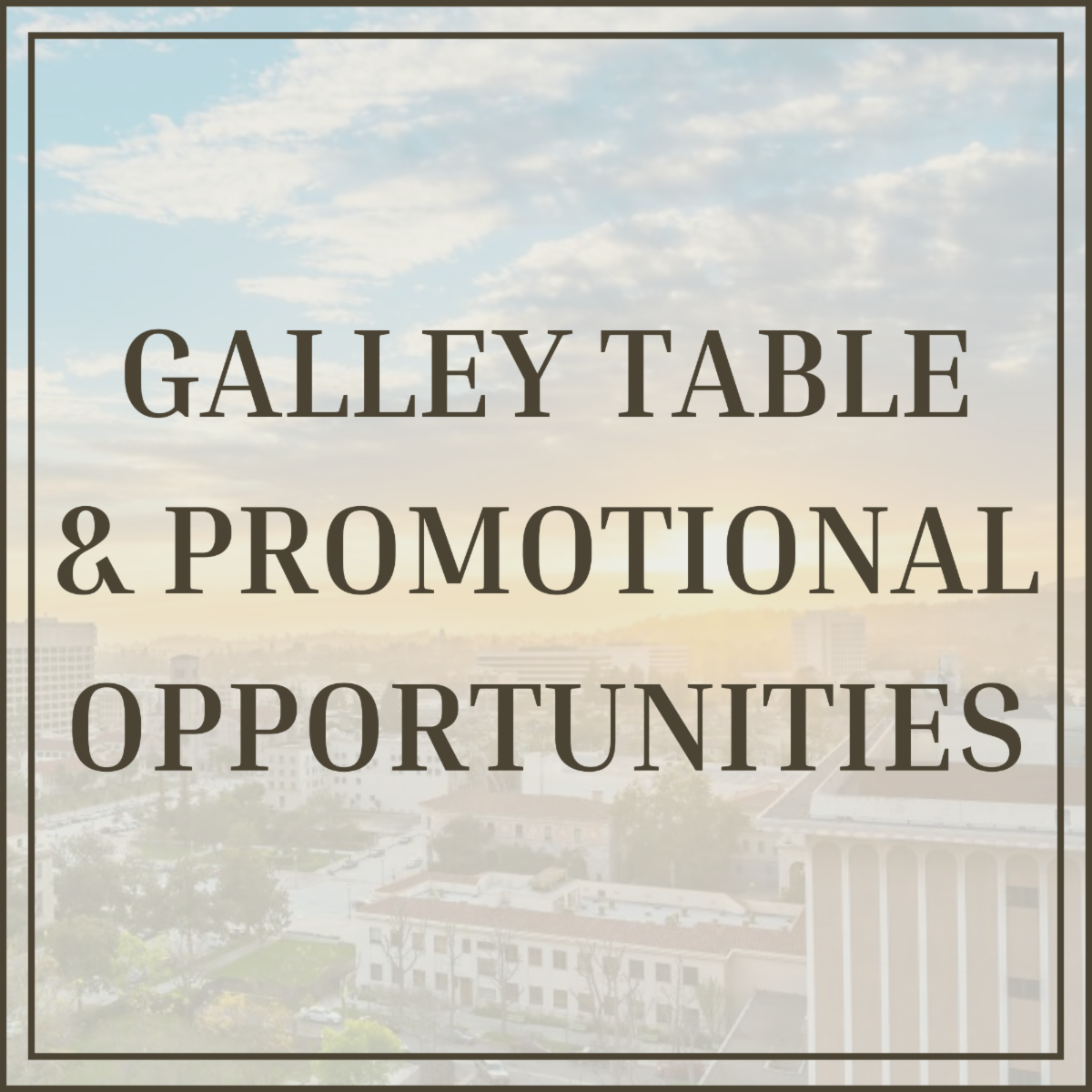 Galley Table & Promotional Opportunities