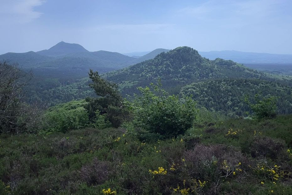 Randonnée découverte : les puys de Jumes et de Coquille, ces trésors naturels du Puy-de-Dôme